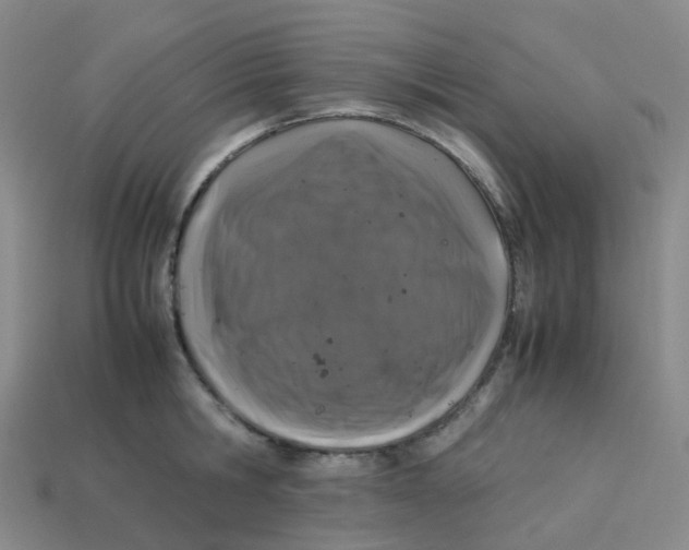 X0000113330806200910131147
