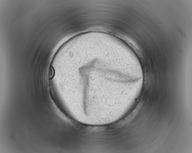X0000113330808200910131147