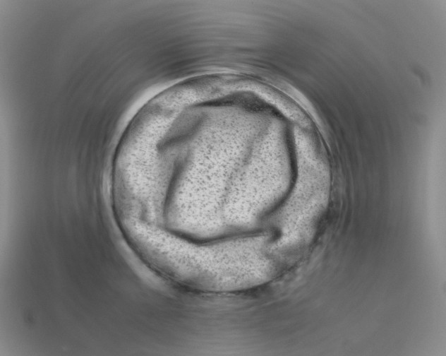 X0000113330811200910131147