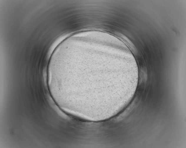 X0000113330812200910131147