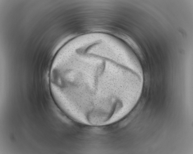 X0000113330814200910131147