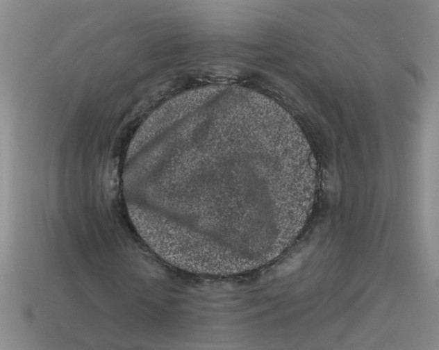 X0000113330818200910131146