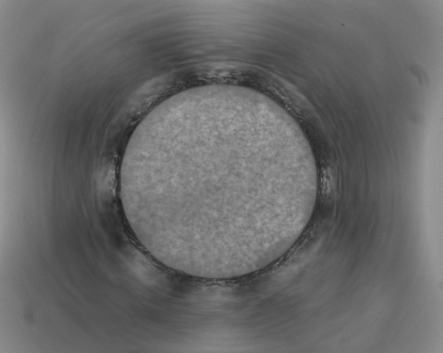 X0000113330820200910131146