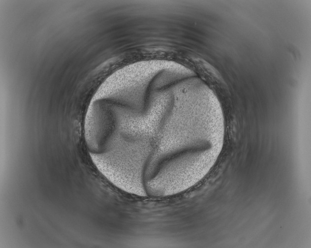 X0000113330821200910131146