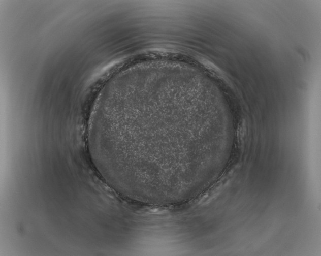 X0000113330822200910131146