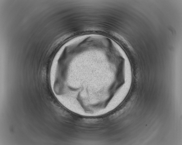 X0000113330825200910131146