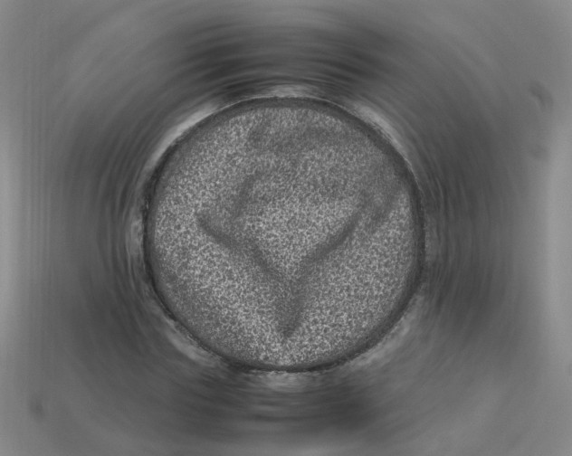 X0000113330827200910131147