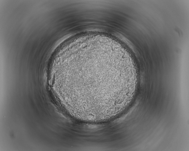 X0000113330829200910131147