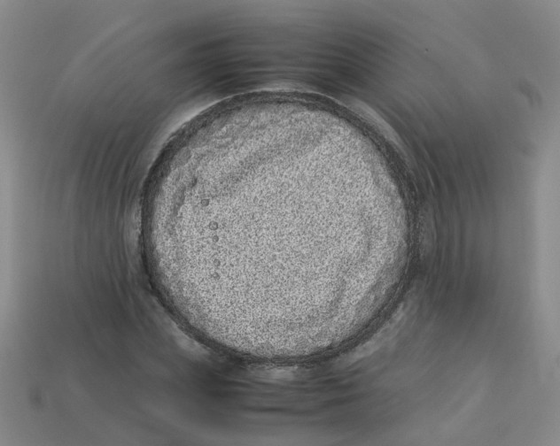 X0000113330831200910131147