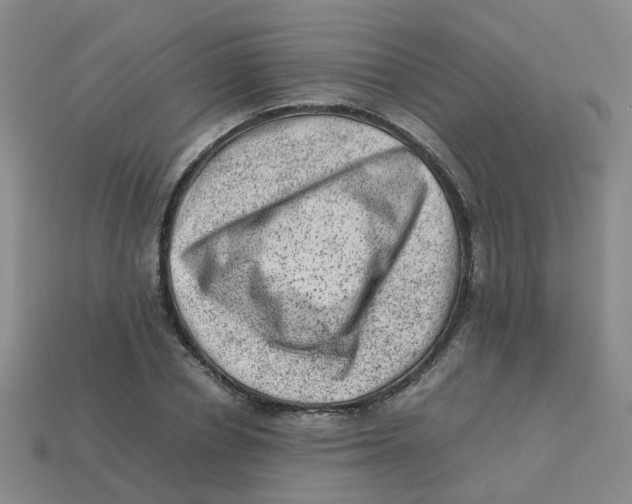 X0000113330834200910131147