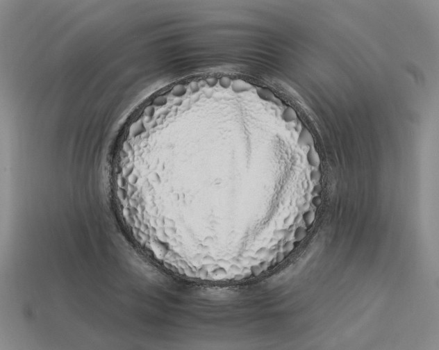 X0000113330835200910131147