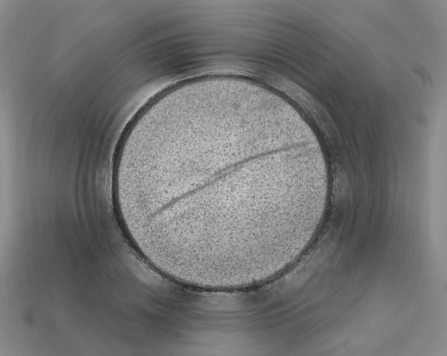 X0000113330836200910131147