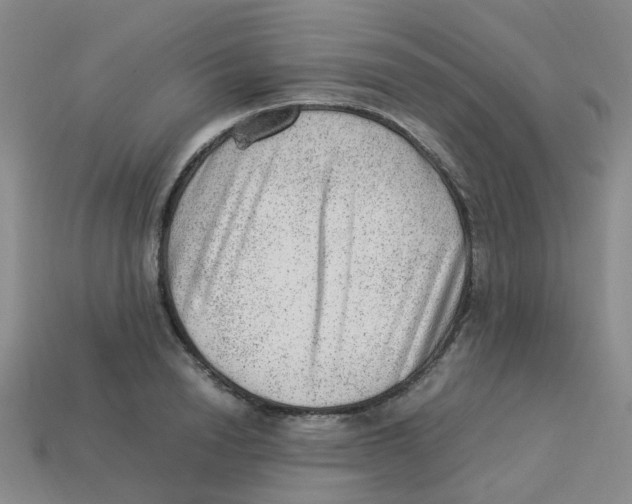 X0000113330846200910131147