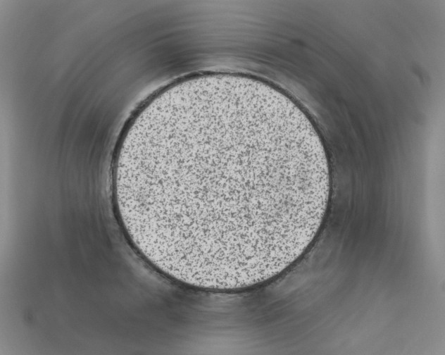 X0000113330848200910131147