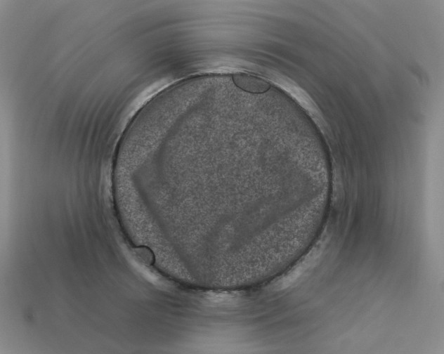 X0000113330850200910131147