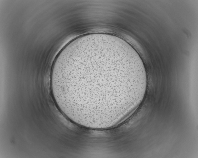 X0000113330852200910131147