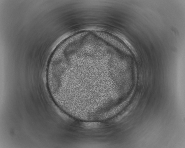 X0000113330853200910131147
