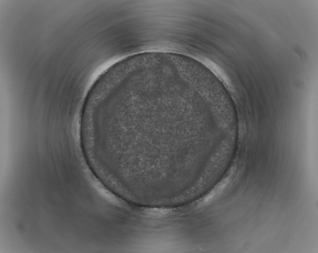 X0000113330854200910131147