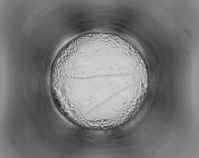 X0000113330855200910131147