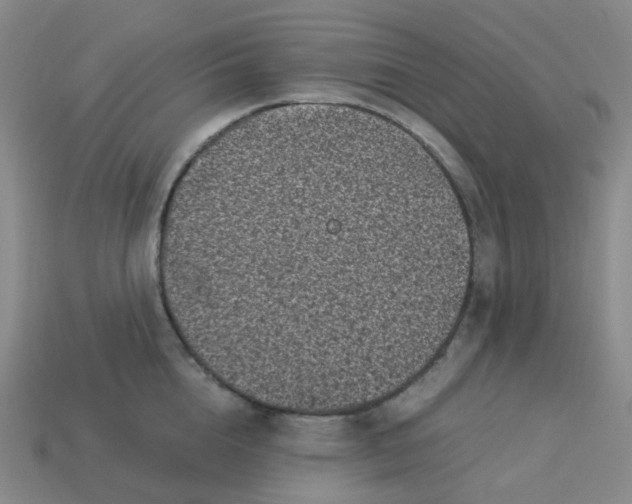 X0000113330856200910131147
