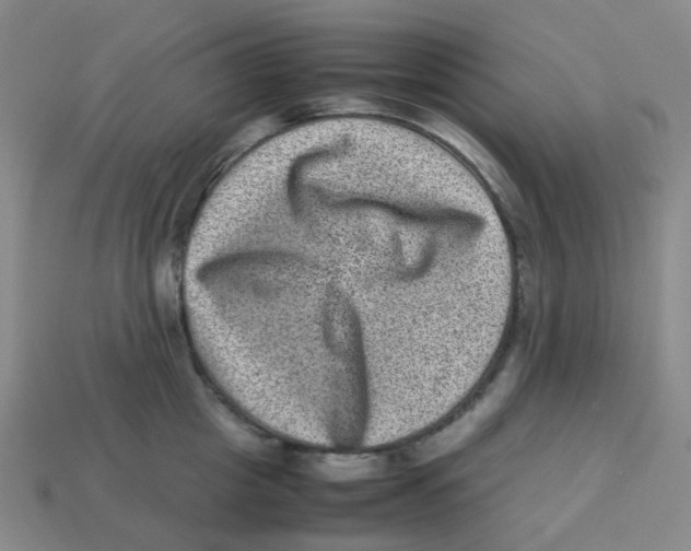 X0000113330857200910131147