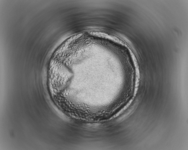 X0000113330859200910131147