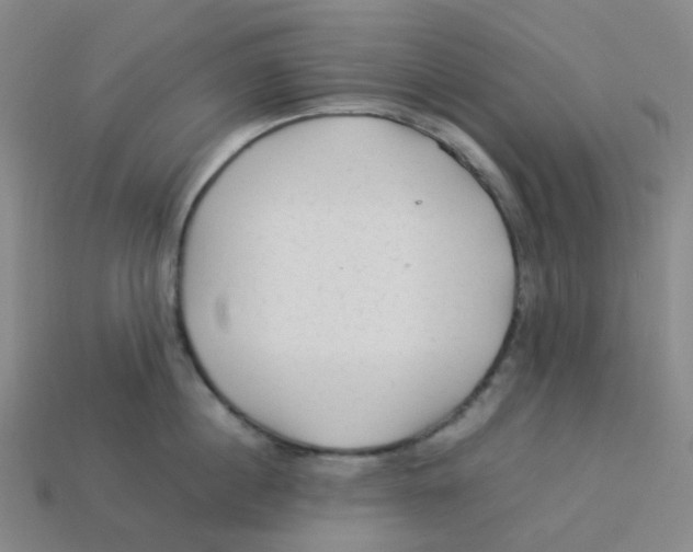 X0000113330860200910131147