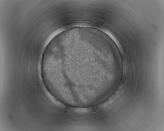 X0000113330861200910131147