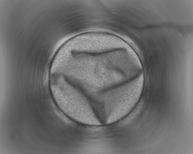 X0000113330862200910131147
