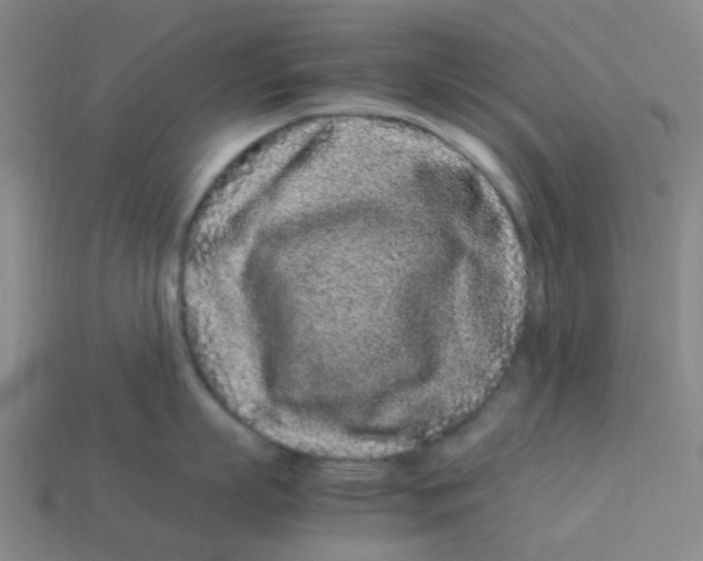 X0000113330863200910131147