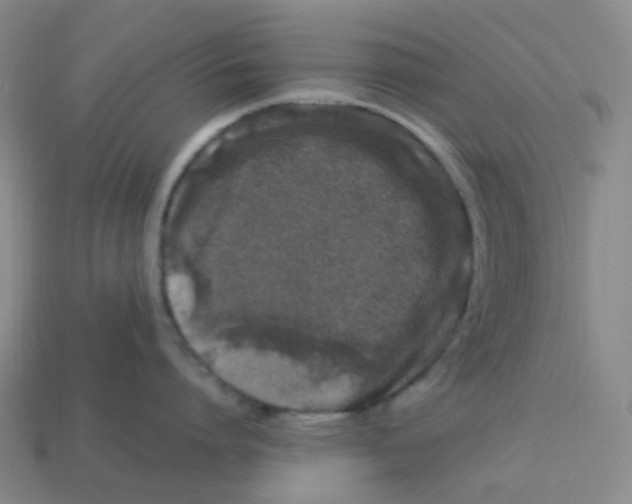 X0000113330864200910131147