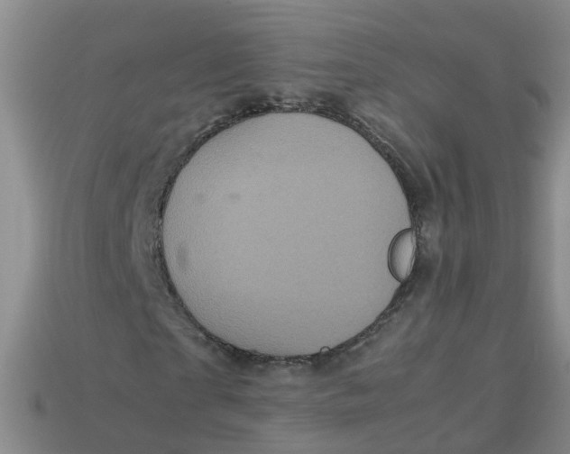X0000113330865200910131146