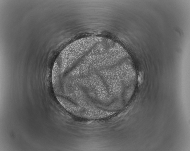 X0000113330867200910131146