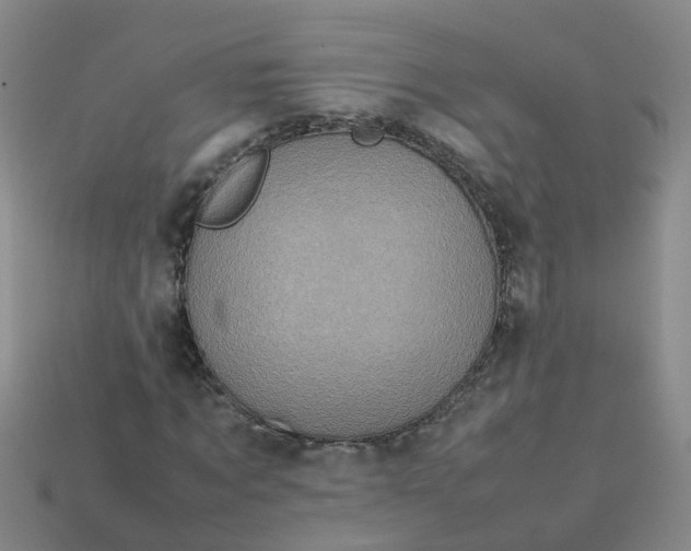 X0000113330869200910131146