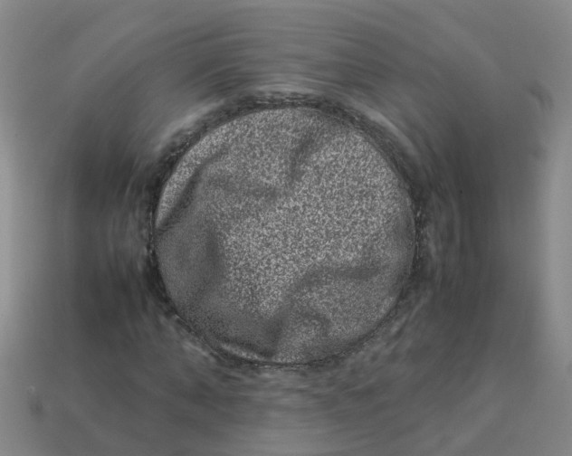 X0000113330870200910131146