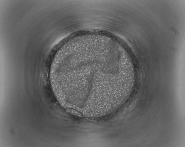 X0000113330871200910131146