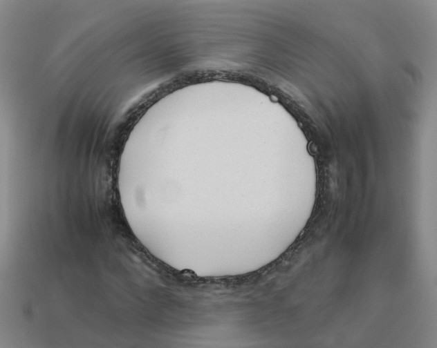 X0000113330872200910131146