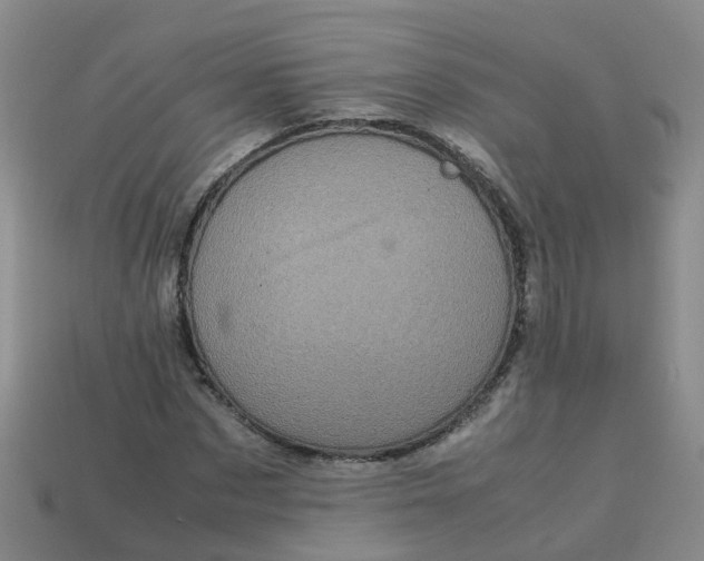 X0000113330873200910131146