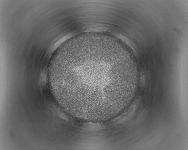 X0000113330874200910131146