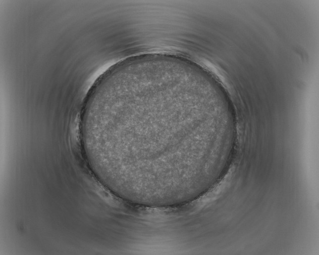 X0000113330875200910131146