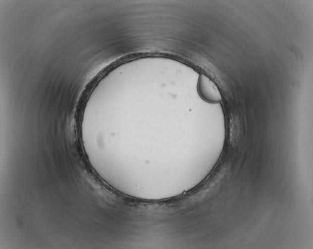 X0000113330876200910131146
