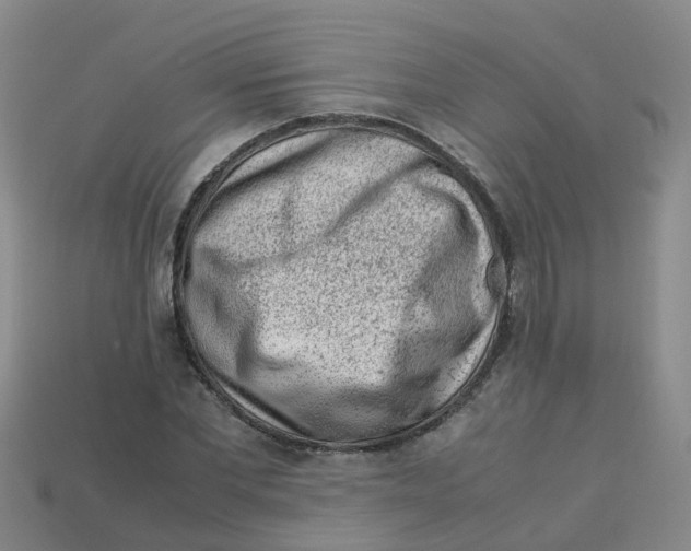 X0000113330877200910131146