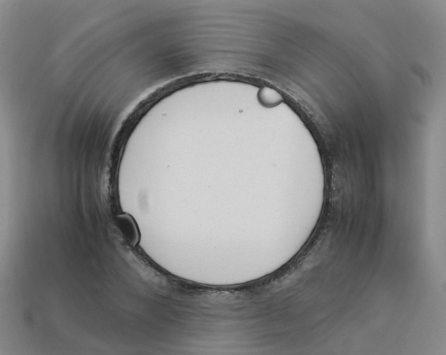 X0000113330880200910131146