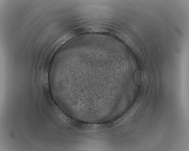 X0000113330881200910131146