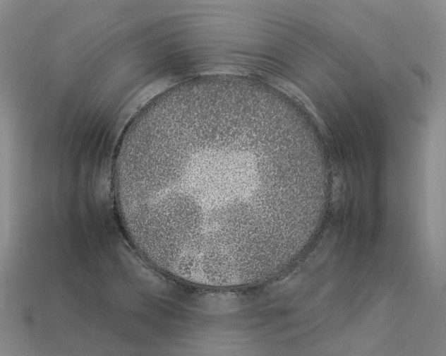 X0000113330882200910131146