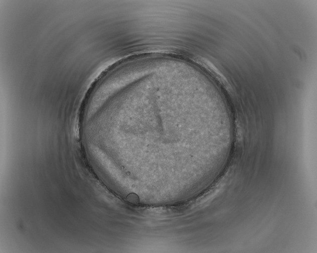 X0000113330883200910131146