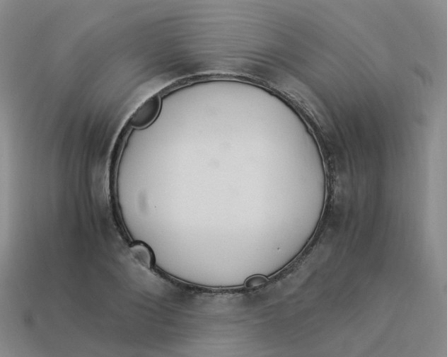 X0000113330884200910131146