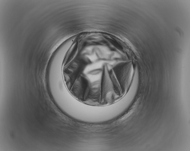 X0000113330885200910131146