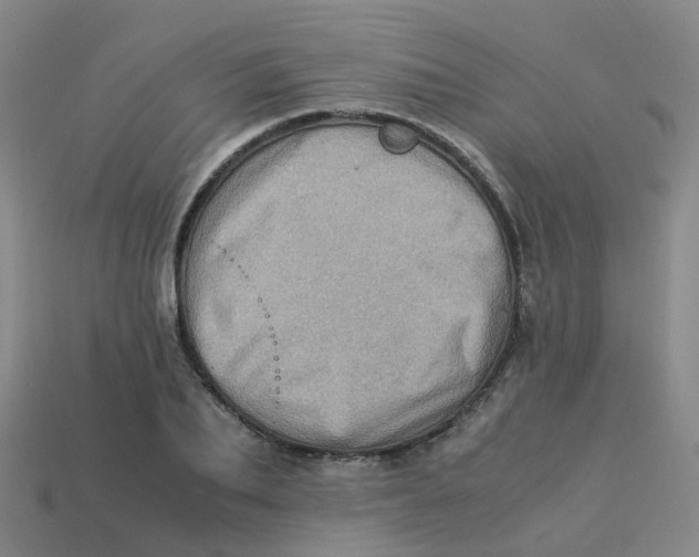 X0000113330887200910131146