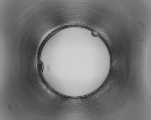 X0000113330888200910131146